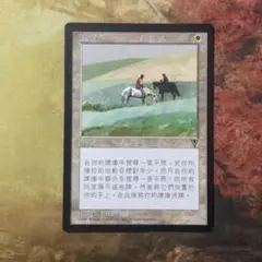 MTG 税収 中国語