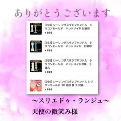 〜スリエドゥ・ランジュ〜天使の微笑み様 リクエスト 4点 まとめ商品