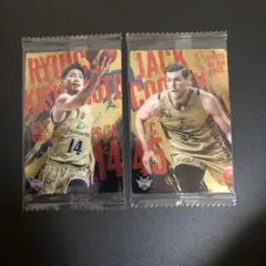 Item thumbnail for item ea1d6a86-cbeb-499a-ac63-5afc01420476