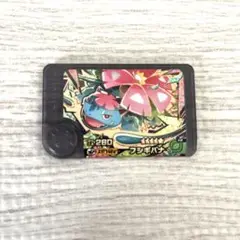 新品　未使用！ポケモンフレンダピック　フシギバナ　スーパートレジャー