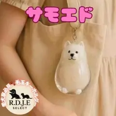 Item thumbnail for item 1ee0e549-12ca-494a-bea7-07785e0dc2df