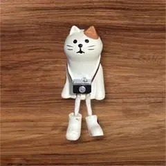 コンコンブル カメラ猫