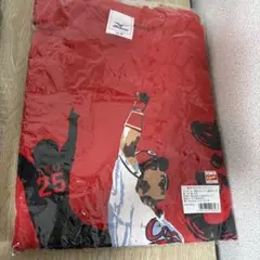 新井貴浩　サヨナラヒット　Ｔシャツ　広島東洋カープ　Ｍ