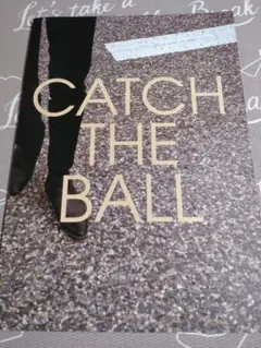 CATCH THE BALL 永井真理子 ツアーブック