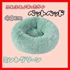 Item thumbnail for item 6563cfb1-0448-480f-9736-3fcecec6eef4