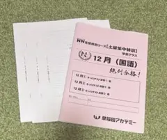 中学受験 早稲田実業NN 教材冊子2年分 2022/2023年度版 中学受験 早稲田実業NN 教材冊子2年分 2022/2023年度版 中学受験