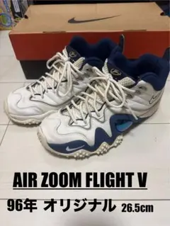田臥サイン付き☆ZOOM UPTEMPO V PREMIUM NIKE ZOOM UPTEMPO 5 ズームアップテンポ5 フライト 田臥