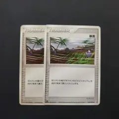 ポケモンカード 暴風 2枚