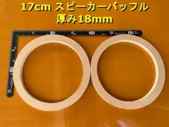 Item thumbnail for item 13ff8b0a-01cd-477e-a56d-332936905cc4