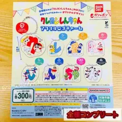 【◎フルコンプ】クレヨンしんちゃん アクリルロゴチャーム