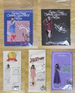 Juice=Juice 井上玲音 FSK アクスタ 5点セット