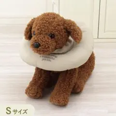 Item thumbnail for item 020338dd-a982-4189-8e5e-d8d0ed7ffaa4