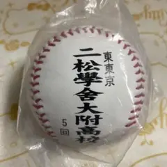 甲子園出場記念ボール 二松学舎大附
