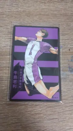 ハイキュー ボドゲ 牛島
