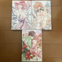 愛されたいと泣いた夜 1.2.3 全巻