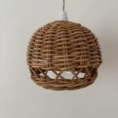 【美品】アラログシェードハングランプ タイプ2(THE AROROG)