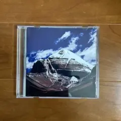 2025年最新】Throbbing Gristle レコードの人気アイテム - メルカリ
