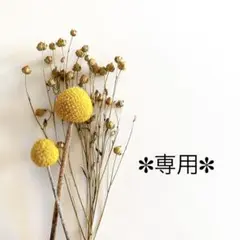 カイロス様 リクエスト 3点 まとめ商品