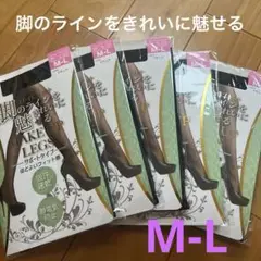 サポートタイプ パンティストッキング M-L ブラック 5足セット