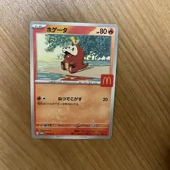 ホゲータ マクドナルド限定 ポケモンカード