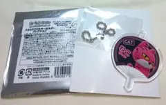ねこ アクキー