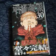 呪術廻戦 30