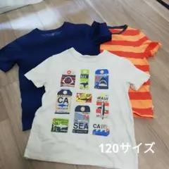 Tシャツ　120サイズ 　130 サイズ　3枚 　まとめ売り