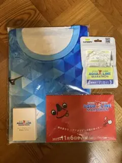 ちば アクアラインマラソン 2022 参加賞 完走者 記念品 メダル チーバくん