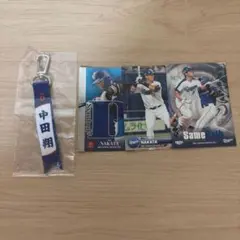 Item thumbnail for item 576da042-b2cf-44bd-9e0e-93fcff809aa2
