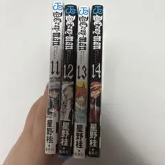 D.Gray-man 11-14巻 4冊セット