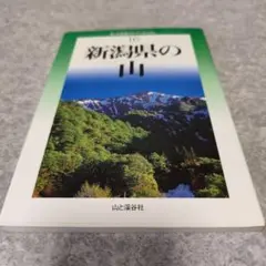 新潟県の山