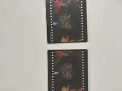 鬼滅の刃　無限城 チェキ風ブロマイド 冨岡義勇　 ダイニング お楽しみくじ