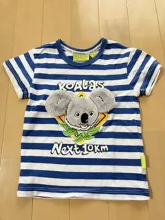 ベビーTシャツ　コアラ×ボーダー　オーストラリア限定　1歳用