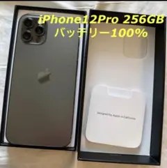 Phone 12 Pro 256GB Graphite 本体