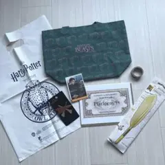 【新品】ハリーポッター・ファンタスティックビーストグッズセット