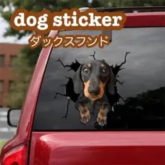 3D カーステッカー ダックスフンド シール カー用品 車体