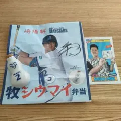 ベイスターズ　シウマイ弁当　崎陽軒　牧　ひょうちゃん　限定　コレクション　野球