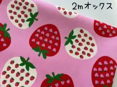 2m　いちご　フルーツinフルーツ　オックス　生地　苺　ピンク　236
