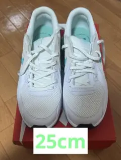 WIMNS NIKE AIR MAX EXCEE 25cm 新品未使用