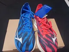 Mizuno Wave Rebellion Pro Low 25.0cm