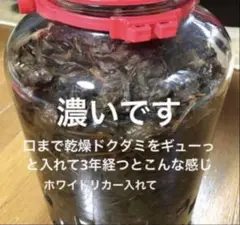 ドクダミチンキ 300ml 令和4年物開封