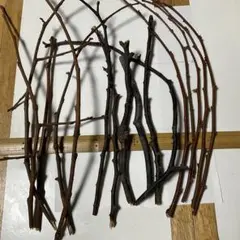 Item thumbnail for item 3d7f1afc-f960-4c23-9b8e-a6f0b68b6650