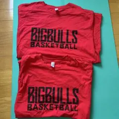 BIGBULLS BASKETBALL Tシャツ 2枚セット