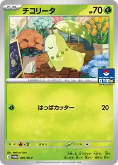 チコリータ　プロモ