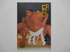 93-94カネボウゴールドカード　曙太郎 　見本（プロモーション）