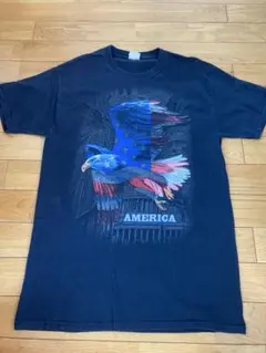 フルーツオブザルーム　アニマルTシャツ　イーグル　鷲