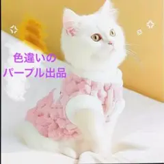 Item thumbnail for item 4ac39826-6259-4823-b1a0-f8ae1fa6e3e6