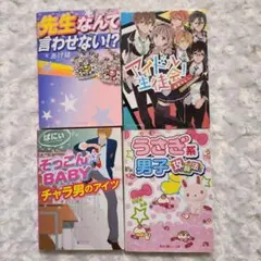 携帯小説 まとめ売り 恋愛小説