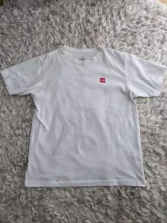THE NORTH FACE SMALL-BOX LOGO TEE Tシャツ