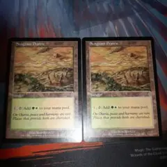mtg サングラスの大草原/Sungrass Prairie　２枚セット